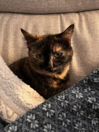 Coco Foster