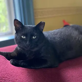 Bill