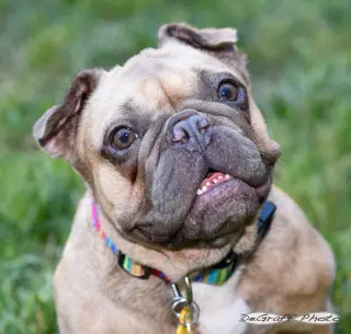 Etta