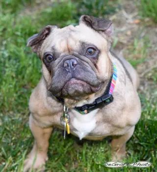 Etta