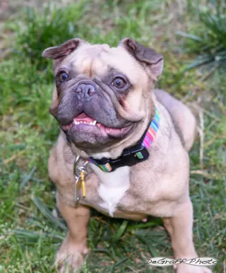 Etta