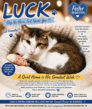 Luck (FCID# 12/02/2025 - 402) C