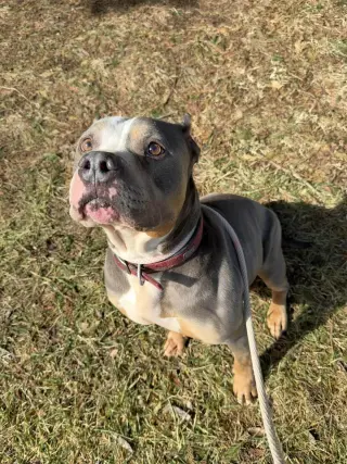 Sosa