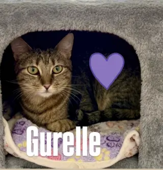 Gurelle