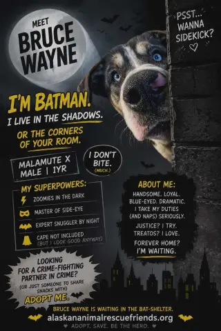 Bruce