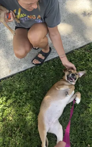 Rita