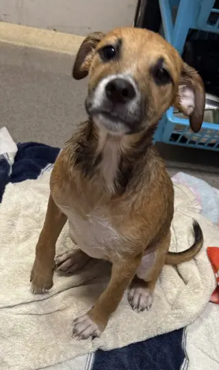 Rita
