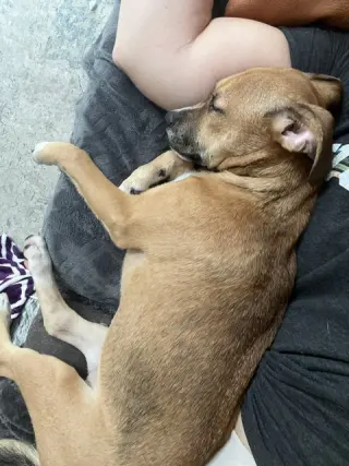 Rita
