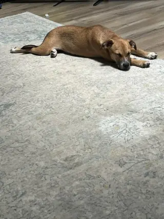 Rita