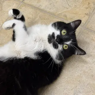 Roni