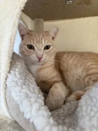 Ragnar