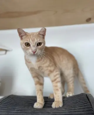 Ragnar