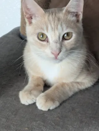Ragnar