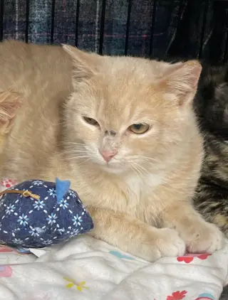 Ragnar