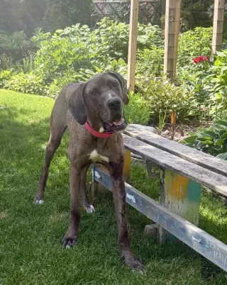 Charlie