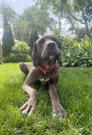 Charlie