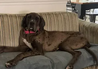 Charlie