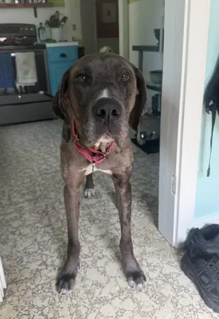Charlie