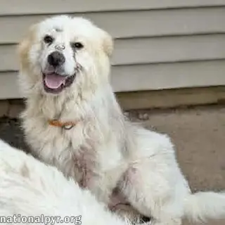 Parker in TN - Happy Boy Who Loves EVERYONE!