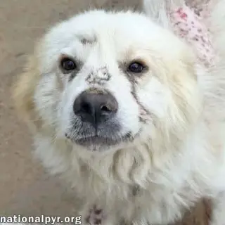 Parker in TN - Happy Boy Who Loves EVERYONE!