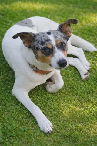 Marley