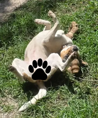 Marley
