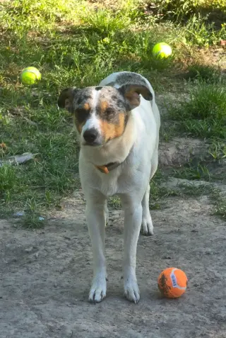 Marley