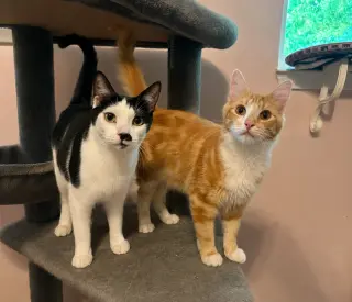 Mr. Mustachio & Max