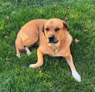 Jada-Big and Beautiful