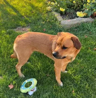 Jada-Big and Beautiful