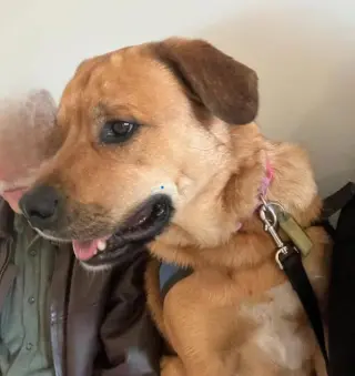 Jada-Big and Beautiful