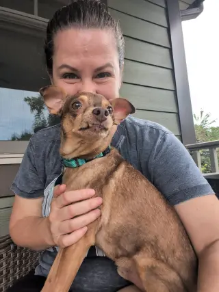 Otis