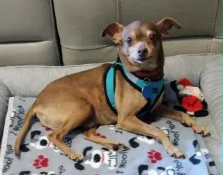 Otis