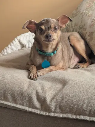 Otis