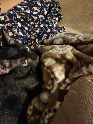 Zoomy