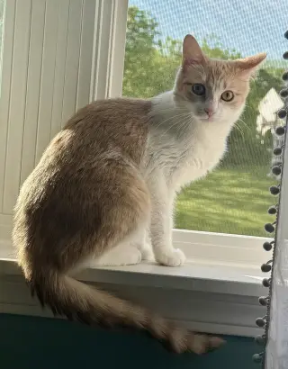 Gabby