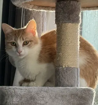 Gabby