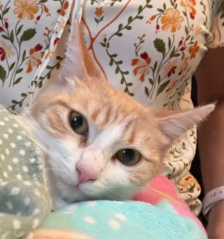 Gabby