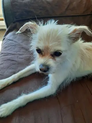 Tiptoe