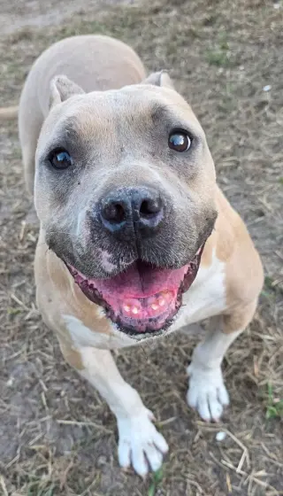 Hope (SC)