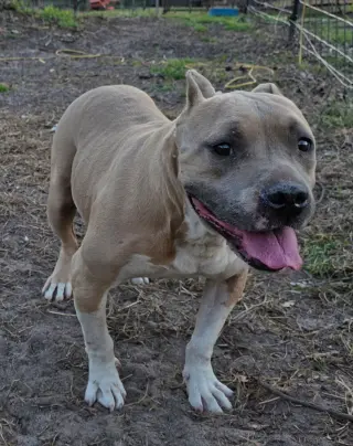 Hope (SC)
