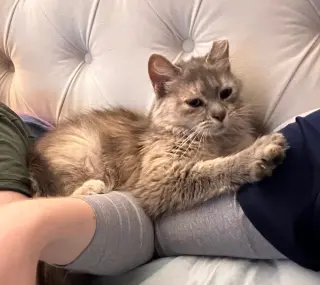 Tatelynn