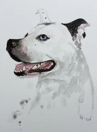 Nyla
