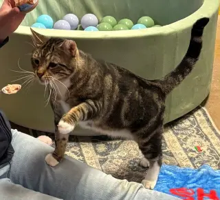 Bruce