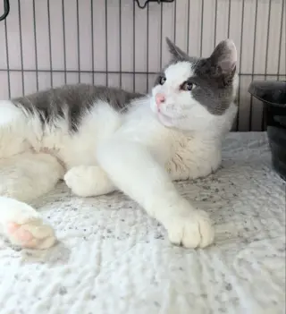 Wilma