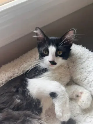 Jinx