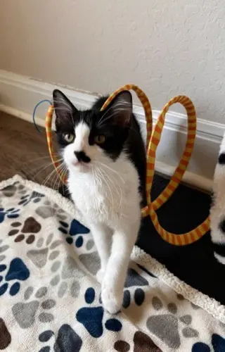 Jinx