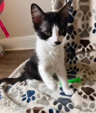 Jinx