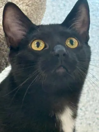 Kilo