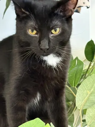 Kilo